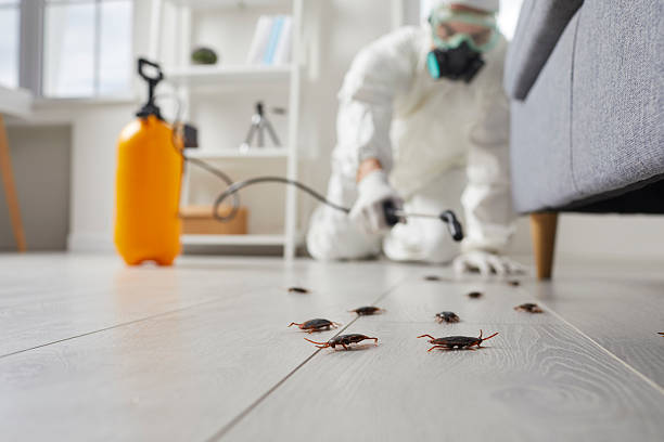 Trusted Rodent Control service in West Clarkston-Highland, WA - Nex Pest Control